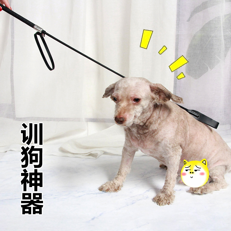 响片训狗器棒宠物训犬装备教鞭马犬用品打狗棍训练狗狗的神器腰包|msdalam kategori haiwan peliharaan/makanan haiwan dan bekalan, Cat/anjing harian, Trainer - dari Buy2taobao.com untuk memberikan perkhidmatan ejen Taobao profesional membeli
