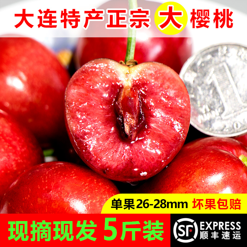 Orthodox school Dalian Cherry Honey bean fresh fruit Shunfeng 5 pregnant woman Cherry leisure time to work in an office snacksin the Aquatic meat/Fresh fruits and vegetables/Cooked , Fresh fruit , Cherries/Cherry category - from Buy2taobao.com to provide professional Taobao agent buy service