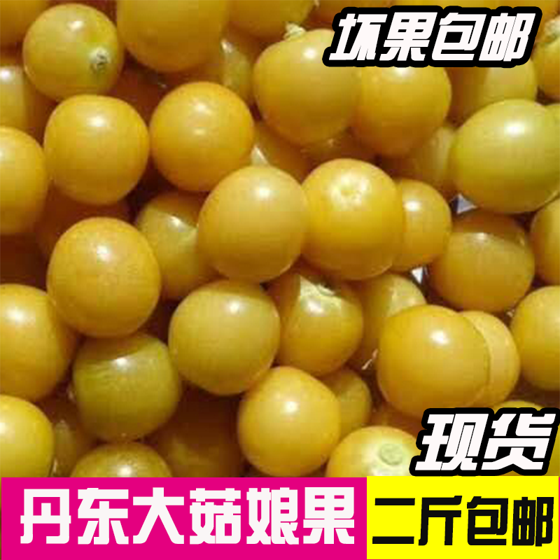 东北大菇娘果新鲜洋菇娘甜菇娘灯笼果菇茑果应季水果新鲜2斤包邮在类目 水产肉类/新鲜蔬果/熟食, 新鲜水果, 其它中 - 来自Buy2taobao.com提供专业的淘宝代购服务