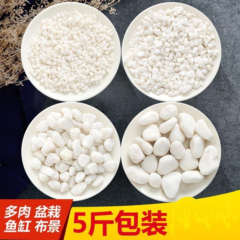 White Rice natural white Pebbles Pebble couture Flower pot ornament Paving Small stonesin the Flower delivery/Flowers simulation/Plants gardening , Gardening supplies , Other Garden Supplies category - from Buy2taobao.com to provide professional Taobao agent buy service