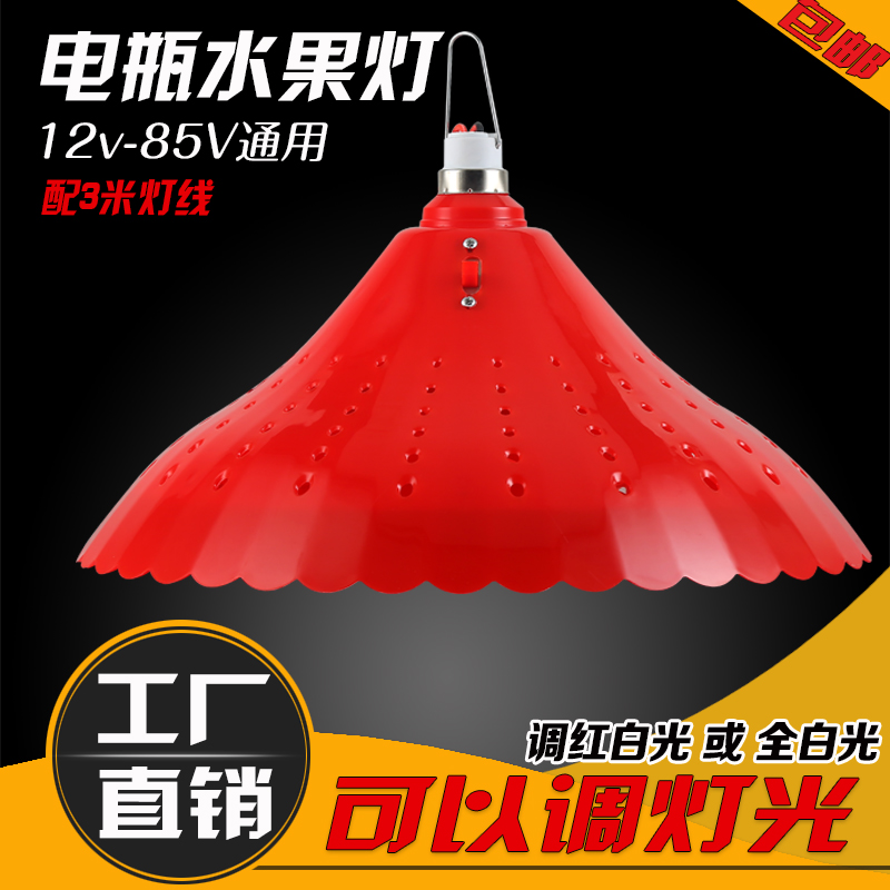 充电应急灯 12V低压生鲜水果猪肉灯 48v夜市摆地摊灯 led电瓶灯在类目 家装主材, 光源, LED光源, LED单灯中 - 来自Buy2taobao.com提供专业的淘宝代购服务