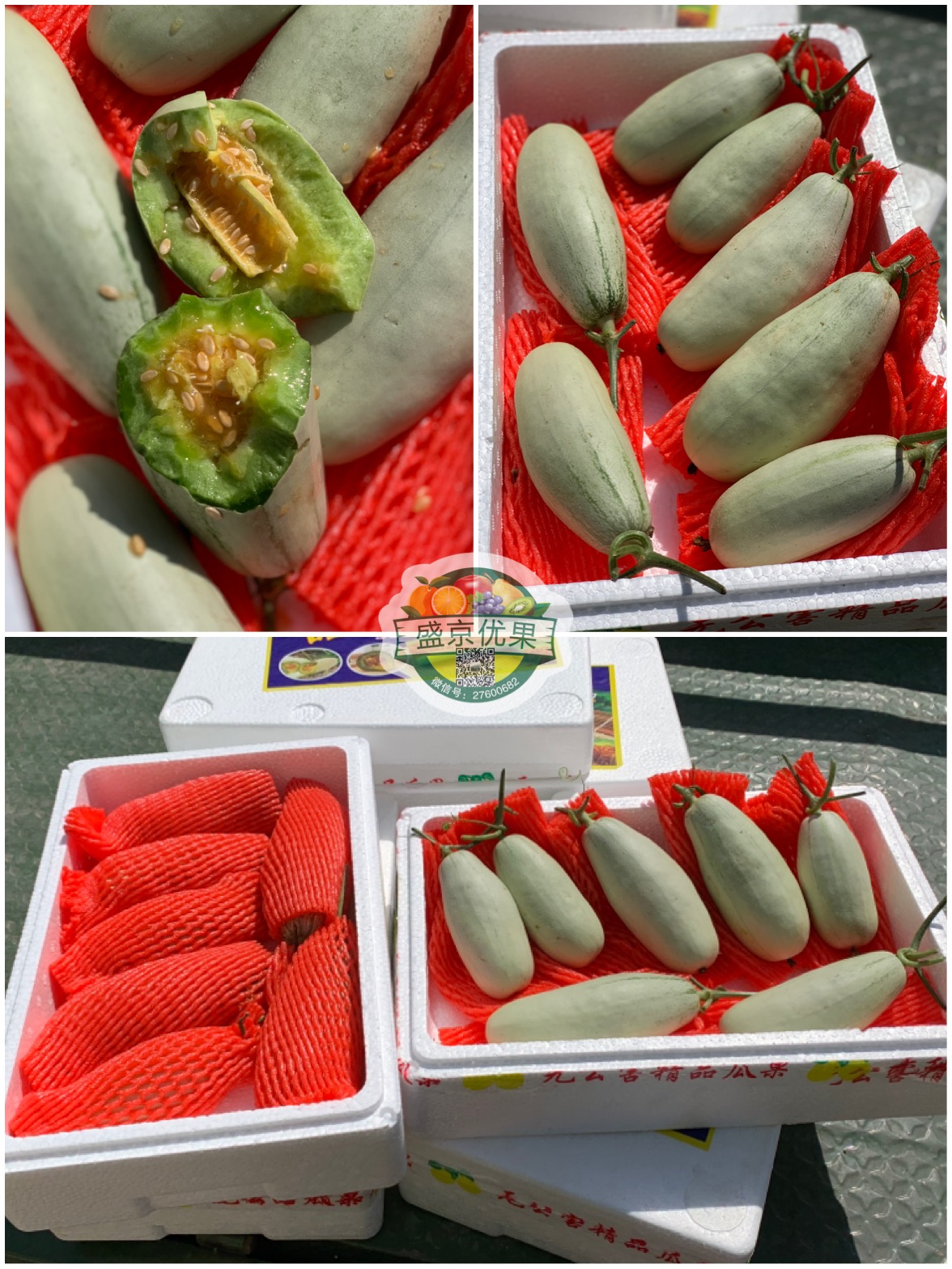 Shenyang Claw honey muskmelon Muskmelon Pumpkin Sheep horn Melon fresh fruit 3.6 Jin 3-7 One Liaoningin the Aquatic meat/Fresh fruits and vegetables/Cooked , Fresh fruit , Melon category - from Buy2taobao.com to provide professional Taobao agent buy service