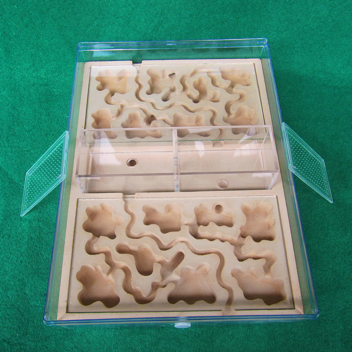 平面一体大型PK巢在类目 宠物/宠物食品及用品, 爬虫/鸣虫及其用品, 蚂蚁工坊中 - 来自Buy2taobao.com提供专业的淘宝代购服务
