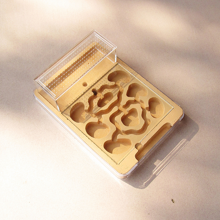 plane one Medium Applicable version Ant nest Ant Mania Ants Castle Ant Farmin the Pet/Pet food and supplies , Reptile/Insects and supplies Ming , Ant Mania category - from Buy2taobao.com to provide professional Taobao agent buy service