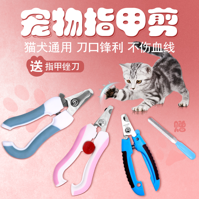 Dogs Nail cutters nail clippers Small dogs Teddy Golden Retriever Kitty Nail cutters Pets Supplies Nail clippersin the Pet/Pet food and supplies , Cat/Dog grooming cleaning supplies , Nail category - from Buy2taobao.com to provide professional Taobao agent buy service