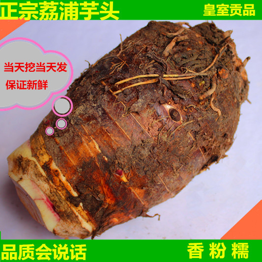 Orthodox school Guangxi specialty Li Riverside Taro fresh Taro Areca Taro Farm Wisteria 15in the Aquatic meat/Fresh fruits and vegetables/Cooked , Fresh vegetables/Vegetable products , Fresh vegetables , Other category - from Buy2taobao.com to provide professional Taobao agent buy service