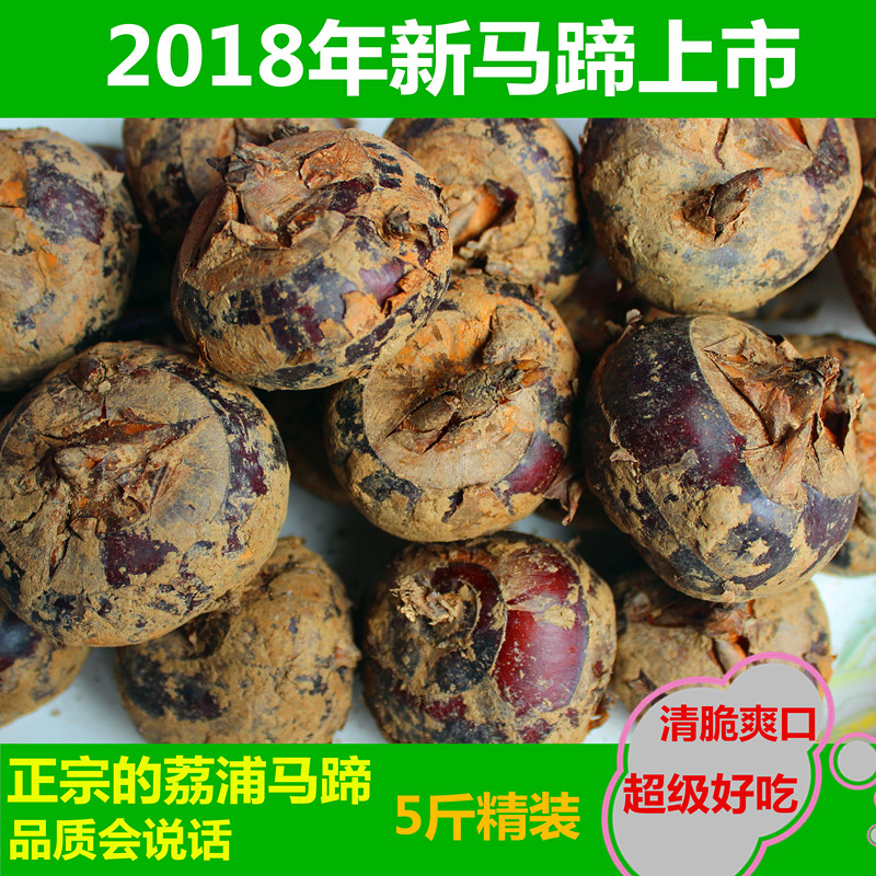 Orthodox school Guangxi Li Riverside Horse's hoof Water chestnuts Farm fresh Water chestnut 1 5 poundsin the Pet/Pet food and supplies , Equine and supplies , Horseshoe setback category - from Buy2taobao.com to provide professional Taobao agent buy service
