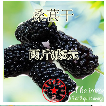 桑葚干 桑果无沙 桑椹子新鲜果干 黑桑椹干 桑椹膏酒茶 500g在类目 传统滋补营养品, 其他传统滋补品, 传统滋补品其他中 - 来自Buy2taobao.com提供专业的淘宝代购服务
