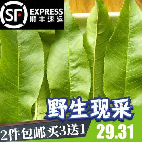 新鮮桃樹葉子500g野生老毛桃子葉野桃葉嫩桃葉洗澡驅跳蚤在類目 傳統滋補營養品, 藥食同源食品, 其他藥食同源食品中 - 來自Buy2taobao.com提供專業的淘寶代購服務