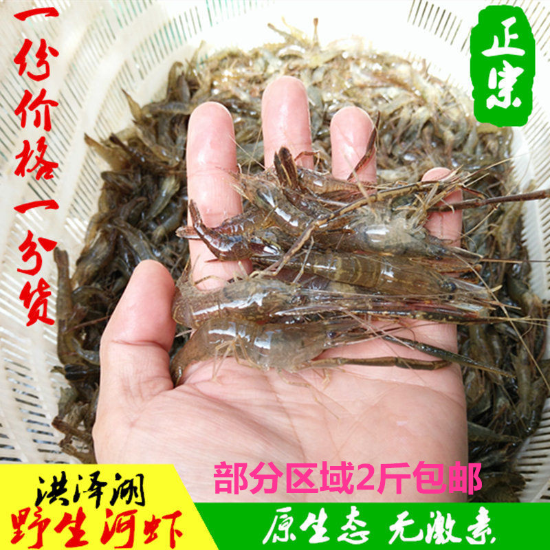 土垚康洪澤湖野生新鮮河蝦草蝦小青蝦鮮蝦活蝦虎頭鲨500克在類目 水產肉類/新鮮蔬果/熟食, 海鮮/水產品/製品, 蝦類, 蝦類製品中 - 來自Buy2taobao.com提供專業的淘寶代購服務