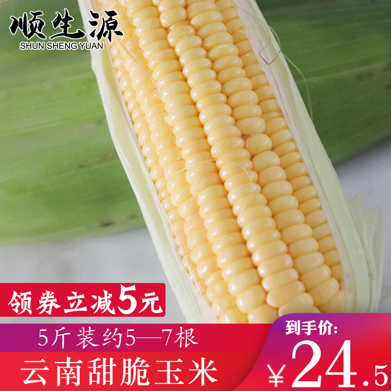 Yunnan fresh Fruit Corn Now pick Now send Baogu Stick Season Vegetables Farm precooked and ready to be eaten Corn 5in the Aquatic meat/Fresh fruits and vegetables/Cooked , Fresh vegetables/Vegetable products , Fresh vegetables , Fresh corn category - from Buy2taobao.com to provide professional Taobao agent buy service