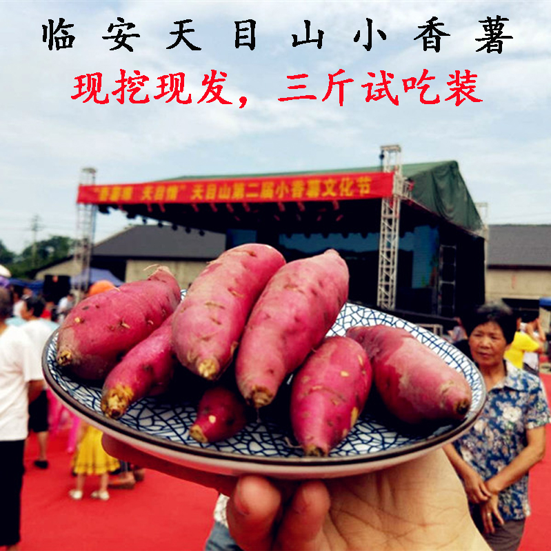Linan Mount Yellow Heart Hong potato sweet potato fresh Sweet potato Goldfinger 3 pounds e7eGlVWKf5in the Aquatic meat/Fresh fruits and vegetables/Cooked , Fresh vegetables/Vegetable products , Fresh vegetables , Sweet potato category - from Buy2taobao.com to provide professional Taobao agent buy service