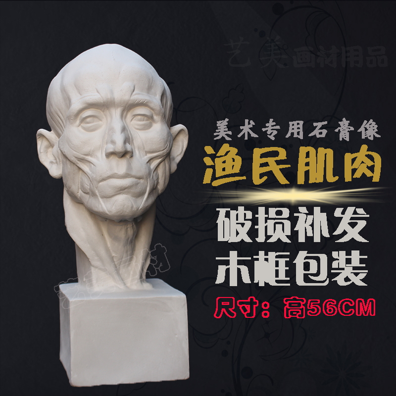 56CM渔民肌肉解剖头像 美术教具石膏像人物石膏头像 写生教具雕塑|msdalam kategori Kamus elektronik/buku kertas elektronik/alat tulis, alat lukisan/kayu dicat/bekalan Calligraphy, plaster - dari Buy2taobao.com untuk memberikan perkhidmatan ejen Taobao profesional membeli