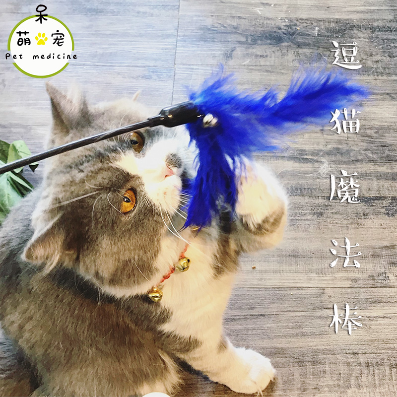 逗貓魔法棒 貓咪羽毛逗貓棒 逗貓杆貓玩具羽毛鈴铛玩具寵物用品在類目 寵物/寵物食品及用品, 貓/狗玩具, 逗貓棒中 - 來自Buy2taobao.com提供專業的淘寶代購服務