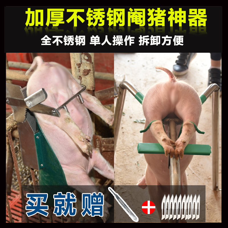 阉猪架 加厚加强阉割器小猪阉割架子阉猪台仔猪阉割架养猪场设备在类目 畜牧/养殖物资, 畜牧/养殖设备, 畜牧/养殖器械中 - 来自Buy2taobao.com提供专业的淘宝代购服务