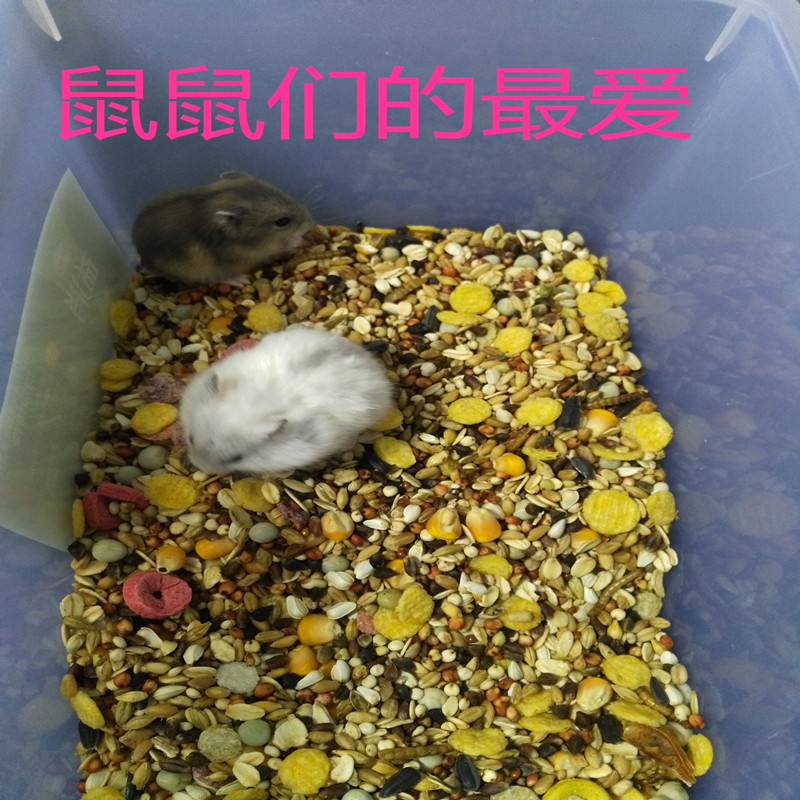 包邮仓鼠粮食物饲料主粮自配五谷仓鼠粮食金丝熊400g(买3送1)在类目 宠物/宠物食品及用品, 仓鼠类及其它小宠, 饲料/零食中 - 来自Buy2taobao.com提供专业的淘宝代购服务