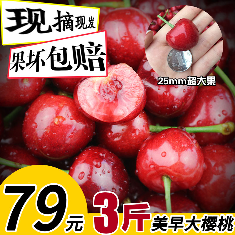 山东烟台大樱桃应季车厘子 新鲜 水果包邮 现货3斤 新鲜现摘现发|ruв категории водной мясо/свежие фрукты и овощи/еда, свежие фрукты, вишня/вишня - от Buy2taobao.com для оказания профессиональной услуги покупки агента Taobao