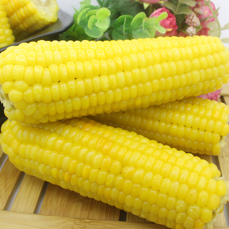 Non-GM Northeast Jilin Yuan Tai Cephalostachyum Organic Corn Corn Stick Corn 10 rootin the Agri rice/Dried foods/Condiment , Meter/Flour/Grains , Corn category - from Buy2taobao.com to provide professional Taobao agent buy service