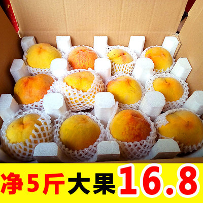 现货黄桃新鲜水果桃子山东蒙阴助农特产应季整箱5斤孕妇脆甜毛桃
