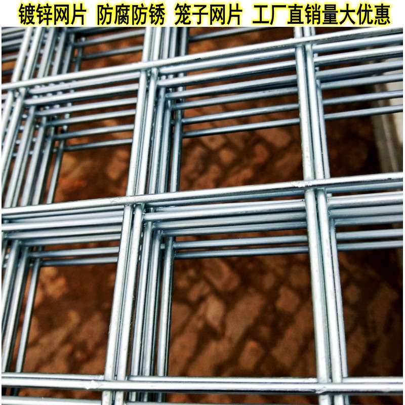 镀锌铁丝网格建筑网片钢筋网片电焊网养殖网笼子网片阳台防护防鼠在类目 五金/工具, 施工保护, 交通安全保护, 护栏/隔离栏中 - 来自Buy2taobao.com提供专业的淘宝代购服务