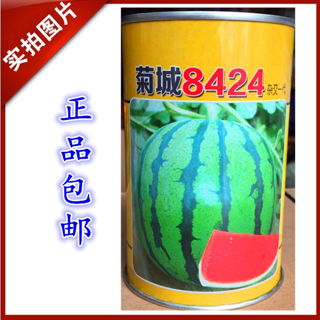 Mum City 8424 Watermelon Seeds 50g Sweet and tasty Precocious Good taste Good color Zaojiain the Agricultural goods , Seed/Seedlings , Fruit seeds/Seedlings category - from Buy2taobao.com to provide professional Taobao agent buy service