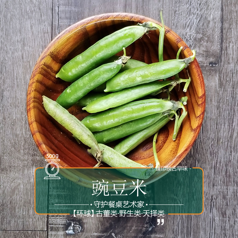 臻印映〡甜豆豌豆米去荚留豆吃豆胜似野生超越有机天生天养粉甜嫩|msdalam kategori daging perikanan/Buah-buahan segar dan sayur-sayuran/dimasak, sayur-sayuran segar/Vegetable Products, sayur-sayuran segar, lain - dari Buy2taobao.com untuk memberikan perkhidmatan ejen Taobao profesional membeli