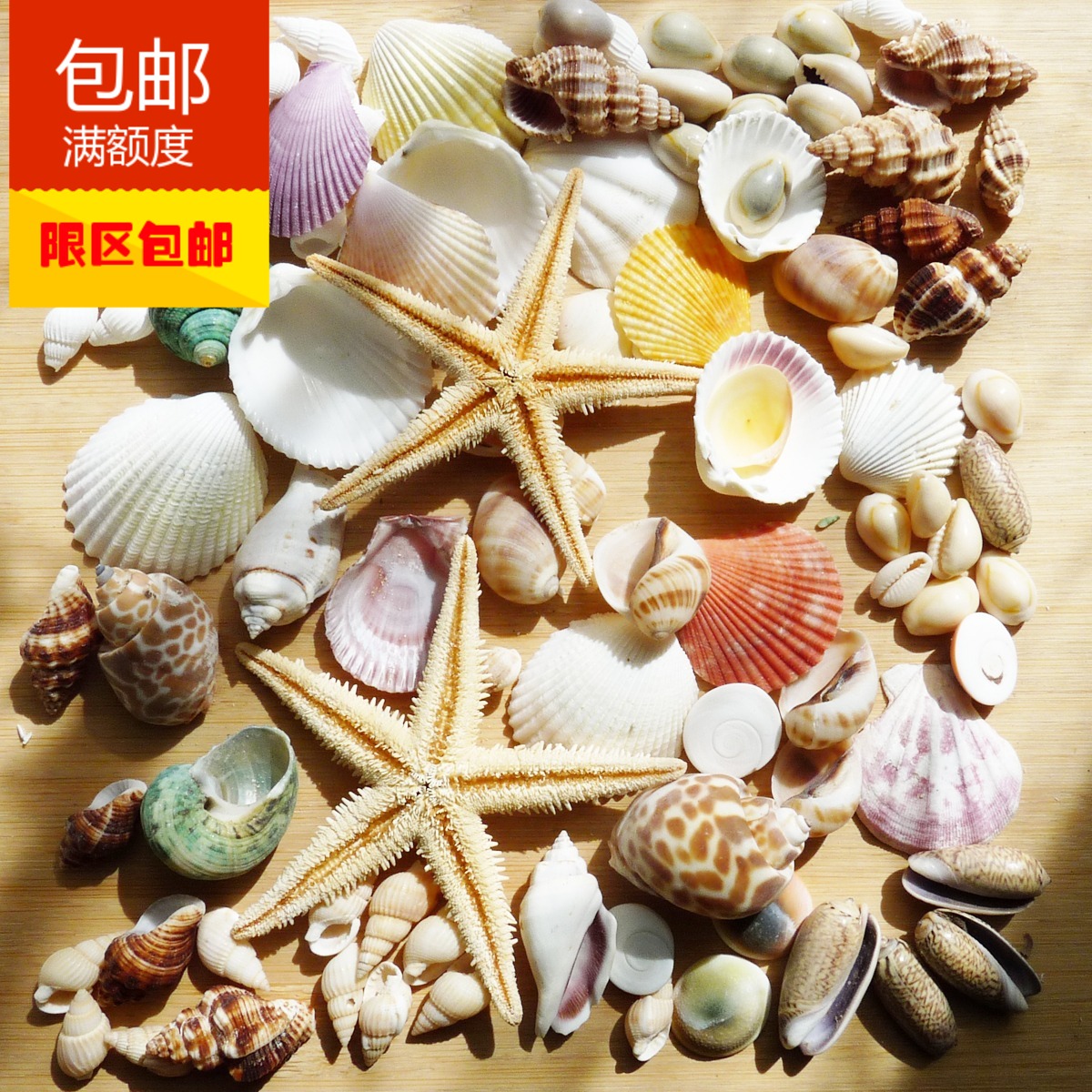 Ocean Conch shell simulation Starfish Platform fish tank Promotion suit combination New products Selling Fishing net decoratein the Home accessories , Creative Jewelry , Conch/Shell/Coral category - from Buy2taobao.com to provide professional Taobao agent buy service