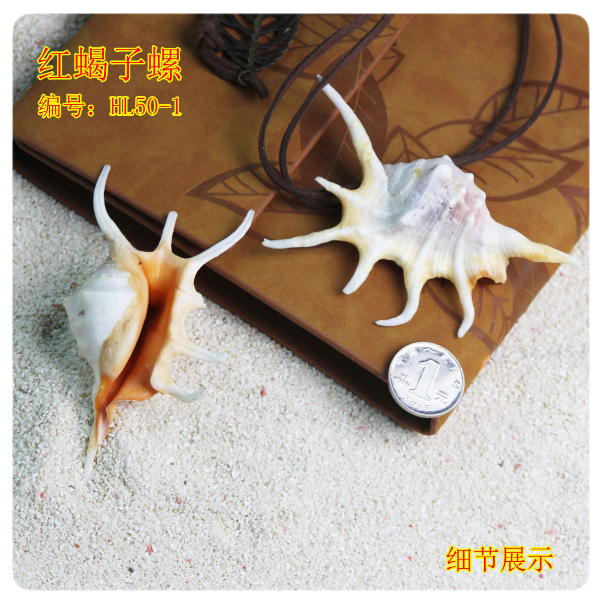 海螺1个价海星贝壳鱼缸水族摆设装饰拍摄器材限时折扣特惠在类目 家居饰品, 创意饰品, 海螺/贝壳/珊瑚中 - 来自Buy2taobao.com提供专业的淘宝代购服务
