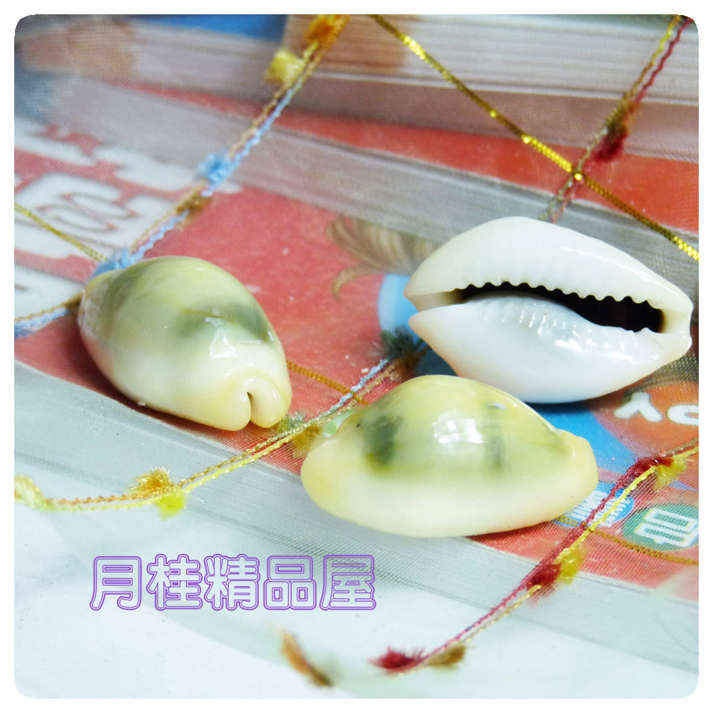Natural conch shells 1 yuan 1 Mediterranean Sea Home Furnishing wedding Registration Desk shell Conch Place HL108in the Home accessories , Creative Jewelry , Conch/Shell/Coral category - from Buy2taobao.com to provide professional Taobao agent buy service