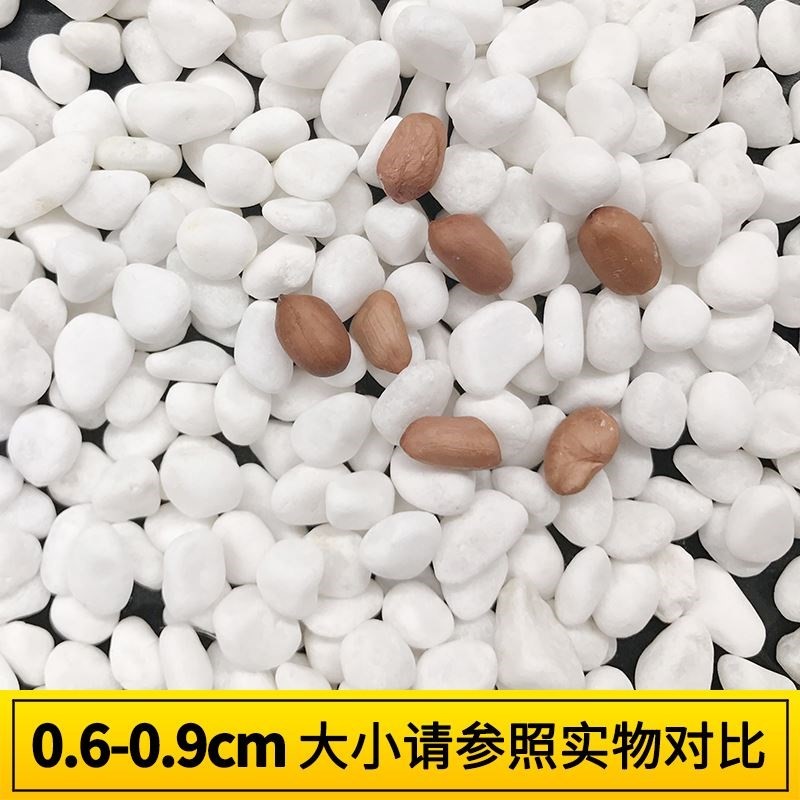 White Rice natural white Pebbles Pebble Flower pot ornament Small stones Pavingin the Flower delivery/Flowers simulation/Plants gardening , Gardening supplies , Other Garden Supplies category - from Buy2taobao.com to provide professional Taobao agent buy service