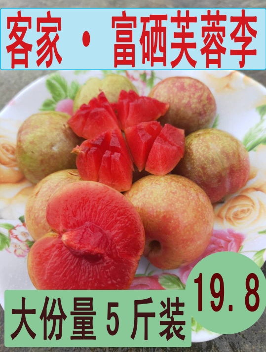 家乡新鲜富硒芙蓉李现摘红心李开胃三华李可口5斤装包邮在类目 水产肉类/新鲜蔬果/熟食, 新鲜水果, 李子中 - 来自Buy2taobao.com提供专业的淘宝代购服务