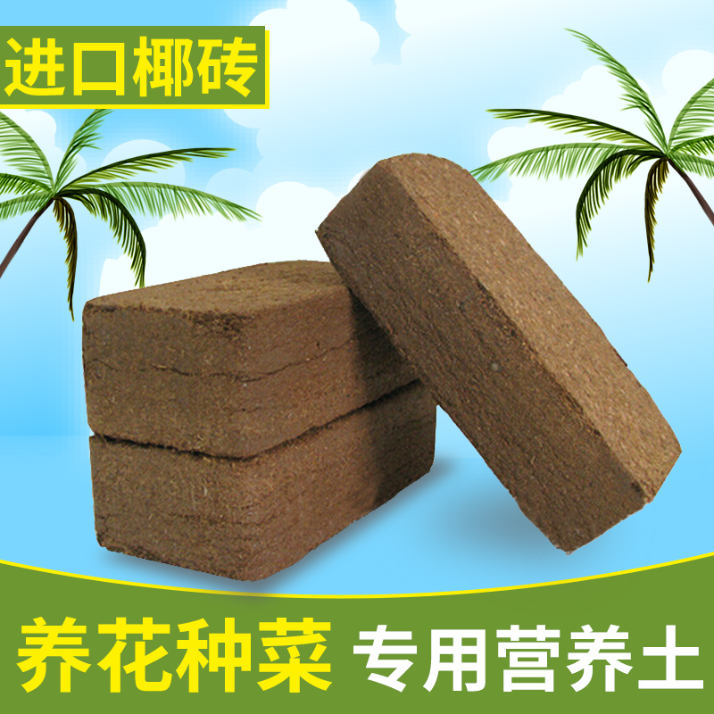 椰砖有机养花种菜通用种植土绿箩多肉植物花土营养土包邮椰糠土在类目 鲜花速递/花卉仿真/绿植园艺, 园艺用品, 家庭园艺肥料/营养土/营养液中 - 来自Buy2taobao.com提供专业的淘宝代购服务