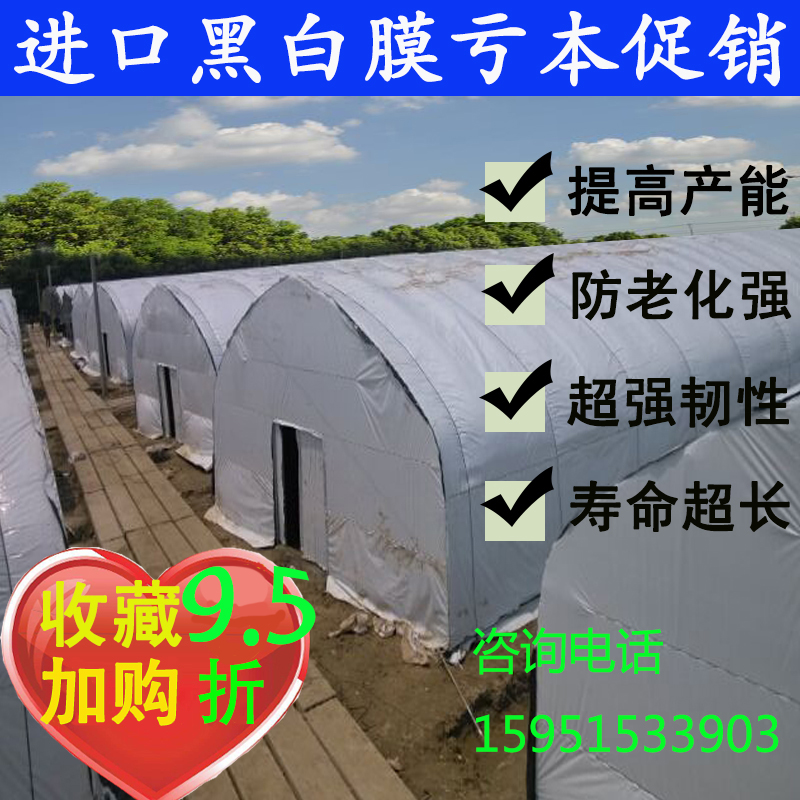 黑白膜养殖大棚膜防晒隔热农用抗老化食用菌反光利得冰菊塑料薄膜在类目 农机/农具/农膜, 农膜/篷布/遮网/大棚, 农用薄膜中 - 来自Buy2taobao.com提供专业的淘宝代购服务