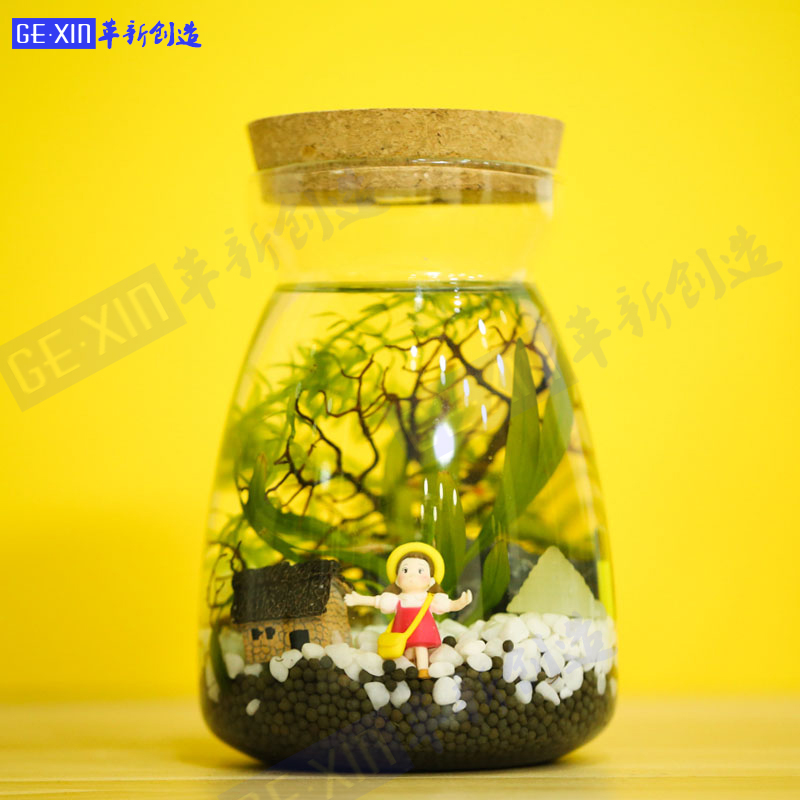 創意帶LED燈迷妳水族箱鬥魚瓶 桌面小型觀賞魚圓柱玻璃魚缸生態球在類目 寵物/寵物食品及用品, 水族世界, 魚缸等水族設備, 生態瓶/創意缸/桌面微景缸中 - 來自Buy2taobao.com提供專業的淘寶代購服務