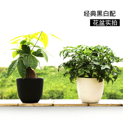 黑白红陶圆形陶土花盆 多肉植物绿植盆栽北欧工业陶瓷花器 配托盘