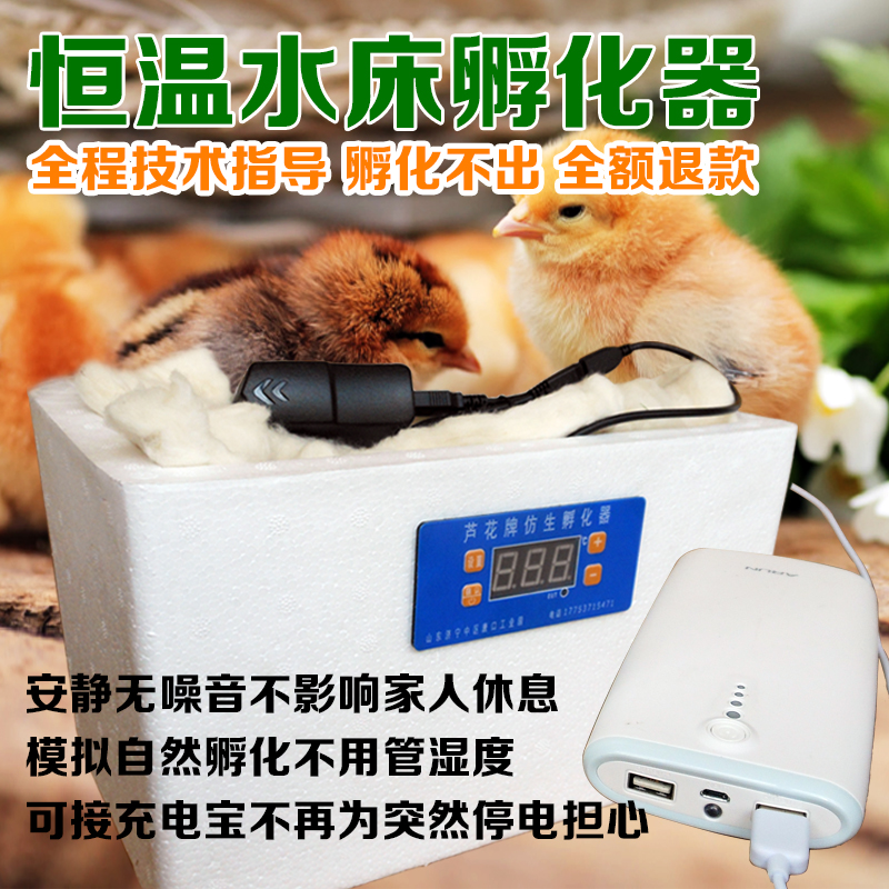 家用型小型孵化机自动控温水床孵化器小鸡蛋孵蛋器9枚鸟蛋孵化箱|msdalam kategori perkakasan/alat, instrumen, Peralatan elektrik - dari Buy2taobao.com untuk memberikan perkhidmatan ejen Taobao profesional membeli