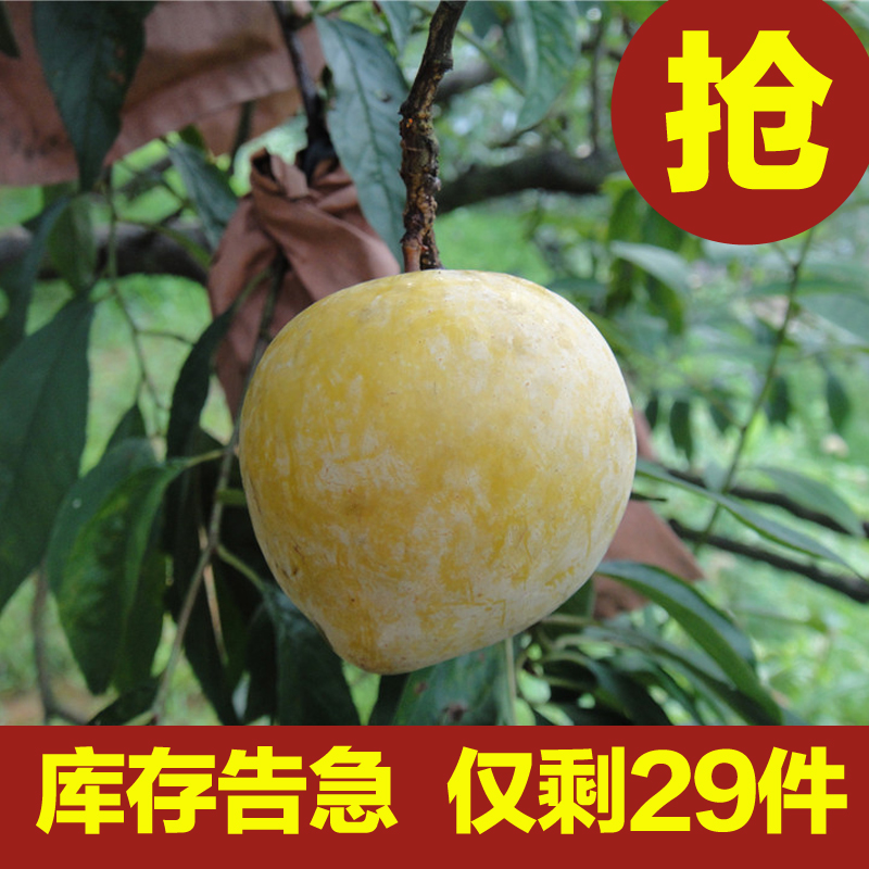 10斤裝熱銷奈李炎陵奈李高山炎陵奈李原生態套袋黃金奈李7月包郵在類目 水產肉類/新鮮蔬果/熟食, 新鮮水果, 李子中 - 來自Buy2taobao.com提供專業的淘寶代購服務