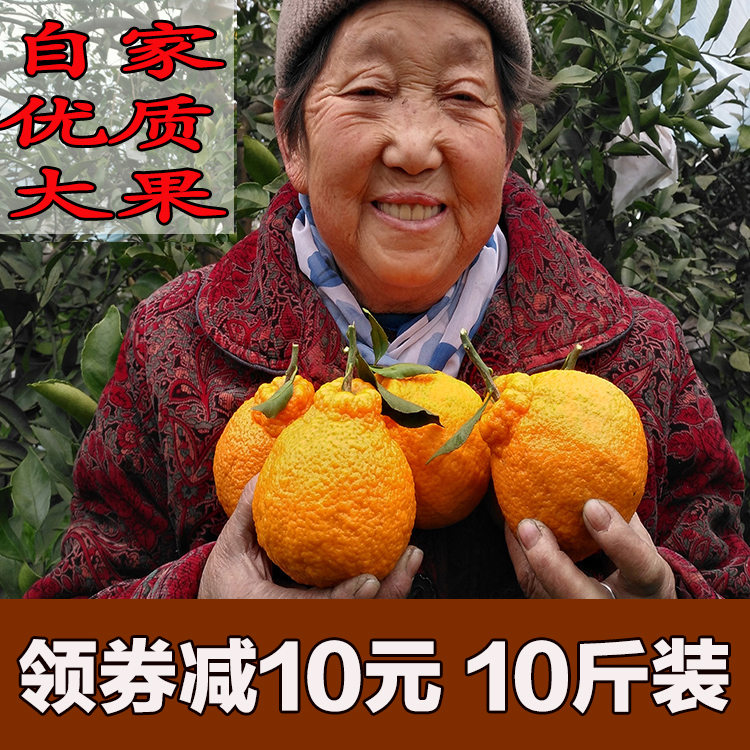 大果四川丑橘新鲜10斤丑橘子丑柑丑桔不知火丑八怪应季水果包邮在类目 水产肉类/新鲜蔬果/熟食, 新鲜水果, 桔子中 - 来自Buy2taobao.com提供专业的淘宝代购服务