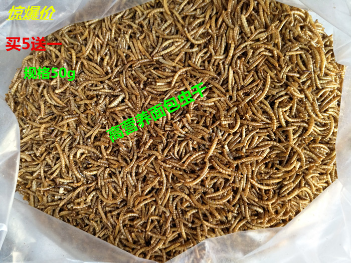 仓鼠特级面包虫干黄粉虫龟粮仓鼠用品仓鼠粮50g实惠装在类目 宠物/宠物食品及用品, 仓鼠类及其它小宠, 饲料/零食中 - 来自Buy2taobao.com提供专业的淘宝代购服务