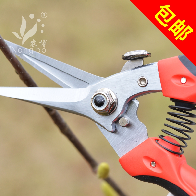 花木修枝剪花剪花枝粗枝樹剪園林修剪樹枝果樹剪子剪枝園藝小剪刀在類目 五金/工具, 手動工具, 剪, 園藝剪中 - 來自Buy2taobao.com提供專業的淘寶代購服務