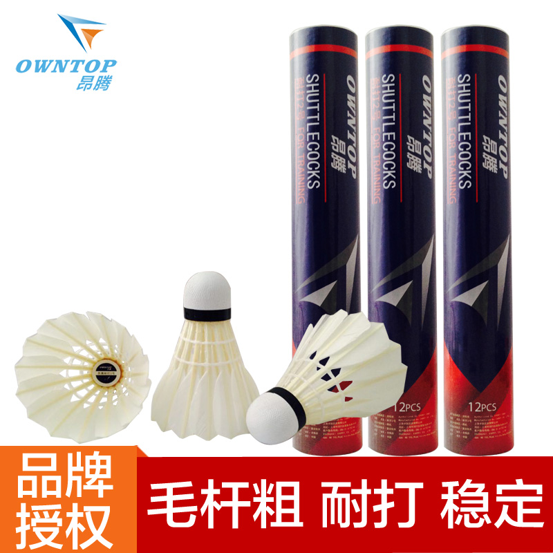 大促包郵昂騰owntop耐打王耐打2號耐打3號比賽1號羽毛球耐打在類目 運動/瑜伽/健身/球迷用品, 羽毛球, 羽毛球中 - 來自Buy2taobao.com提供專業的淘寶代購服務