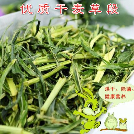 2件包邮优质麦草段干麦草 龙猫兔子天竺鼠牧草干草富含粗纤维500g在类目 宠物/宠物食品及用品, 兔类及其用品, 兔兔干草中 - 来自Buy2taobao.com提供专业的淘宝代购服务