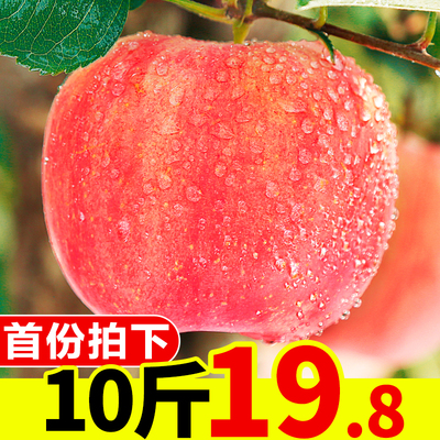 苹果水果新鲜当季10斤批一箱应季脆甜陕西红富士冰糖心丑苹果整箱