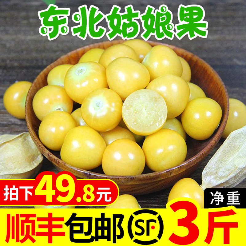 【顺丰包邮】东北姑娘果新鲜水果3斤特产灯笼果黄姑娘果菇娘果在类目 水产肉类/新鲜蔬果/熟食, 新鲜水果, 其它中 - 来自Buy2taobao.com提供专业的淘宝代购服务