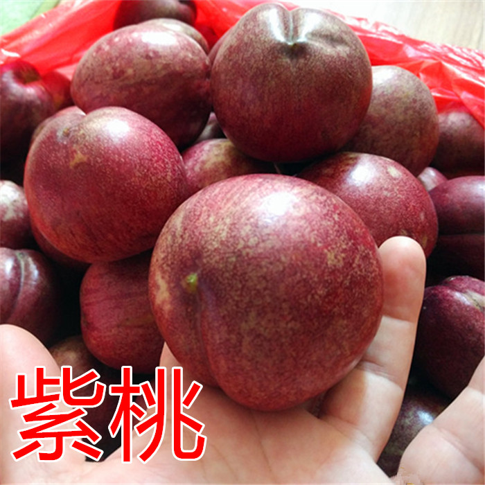 【紫桃拍3發4斤】紫桃紫血桃紫油桃紫肉血桃水果500g含富硒花青在類目 水產肉類/新鮮蔬果/熟食, 新鮮水果, 桃中 - 來自Buy2taobao.com提供專業的淘寶代購服務