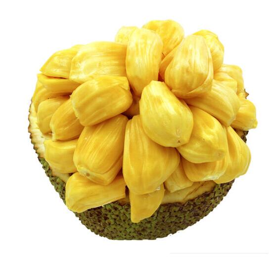 Malaysia jackfruit fresh fruit Imported Hainan Sanya Taste Entire 20 Jin Liaoningin the Aquatic meat/Fresh fruits and vegetables/Cooked , Fresh fruit , Other category - from Buy2taobao.com to provide professional Taobao agent buy service