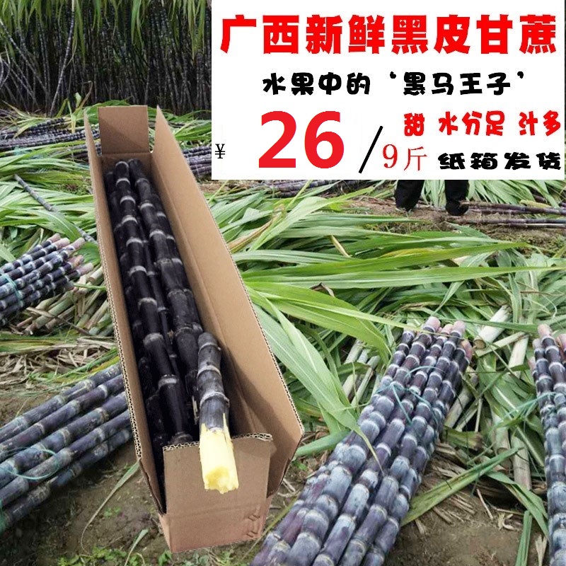 广西阳朔现砍9斤黑皮甘蔗水果包邮 新鲜脆甜搬新居用孕妇水果不硬|ruв категории водной мясо/свежие фрукты и овощи/еда, свежие фрукты, другие - от Buy2taobao.com для оказания профессиональной услуги покупки агента Taobao