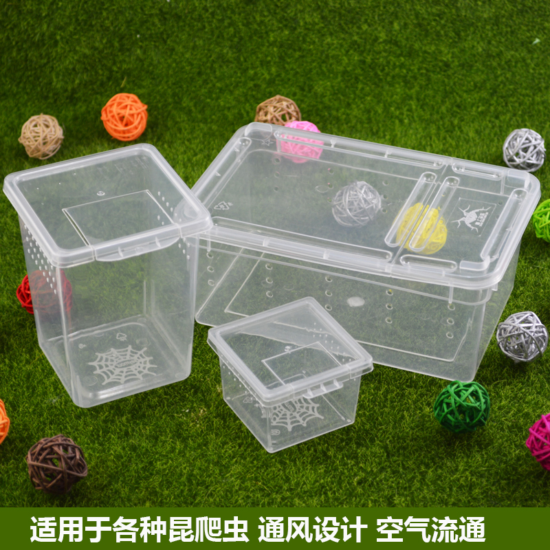 蜘蛛盒 宠物饲养盒 昆爬虫饲养盒蜘 塑料饲养盒 幼体养殖饲养盒在类目 宠物/宠物食品及用品, 爬虫/鸣虫及其用品, 爬虫/鸣虫用具中 - 来自Buy2taobao.com提供专业的淘宝代购服务