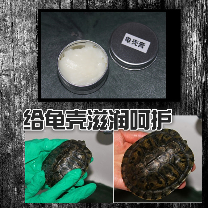 包邮陆龟水龟乌龟龟壳膏护壳剂护壳油护甲油滋润保湿帮助爬虫蜕皮在类目 宠物/宠物食品及用品, 爬虫/鸣虫及其用品, 爬虫/鸣虫用具中 - 来自Buy2taobao.com提供专业的淘宝代购服务