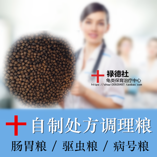 【买3送1】水龟粮水龟饲料乌龟粮食食物巴西龟草龟鳄龟幼龟成龟粮|msdalam kategori haiwan peliharaan/makanan haiwan dan bekalan, Aquarium World, Turtle Watch/makanan penyu - dari Buy2taobao.com untuk memberikan perkhidmatan ejen Taobao profesional membeli